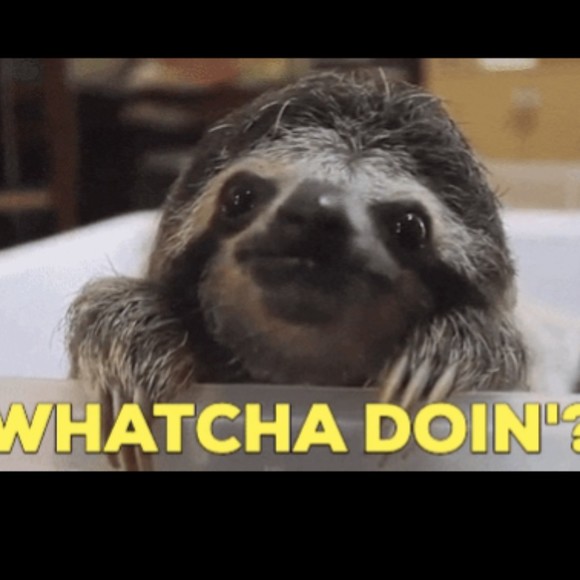 Meet your Posher, Stacy - Picture 1 of 1